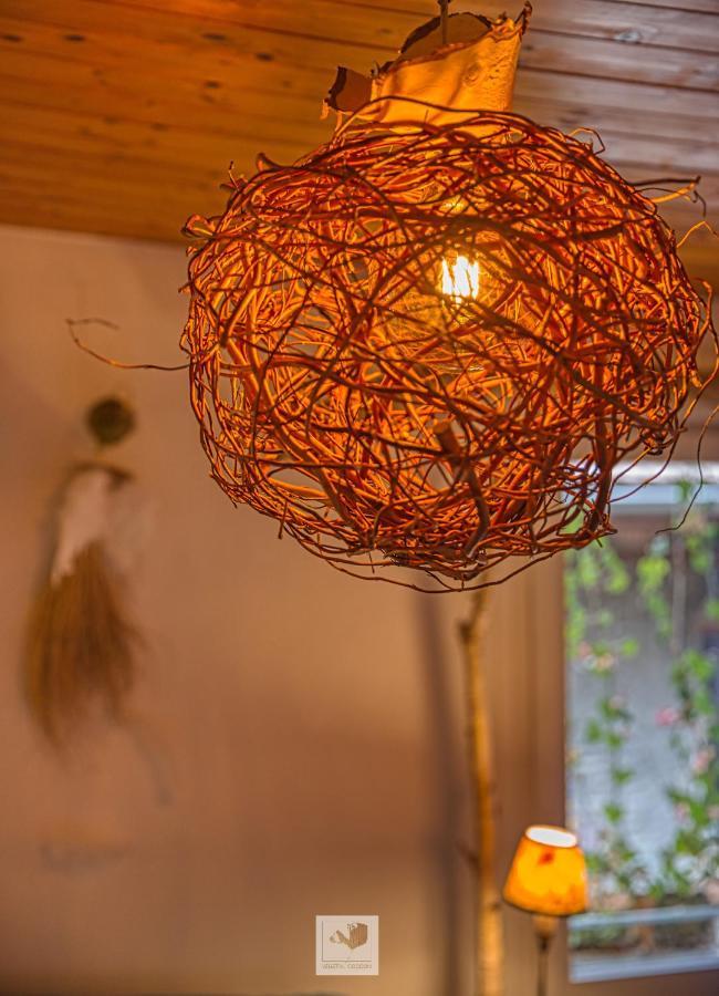 Vegetal Cocoon Lägenhet Annecy Exteriör bild